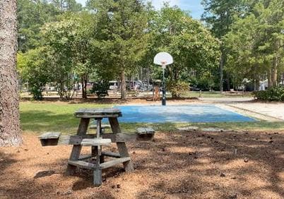 Sports & Lawn Games