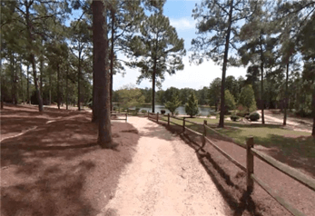 Walking Trails