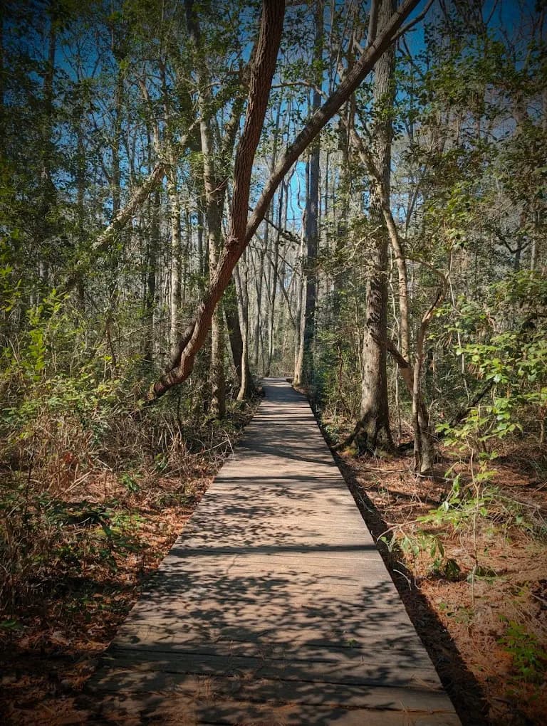 Weymouth Woods–Sandhills Nature Preserve